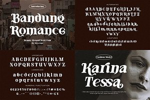 Font Bundle - Display Collection