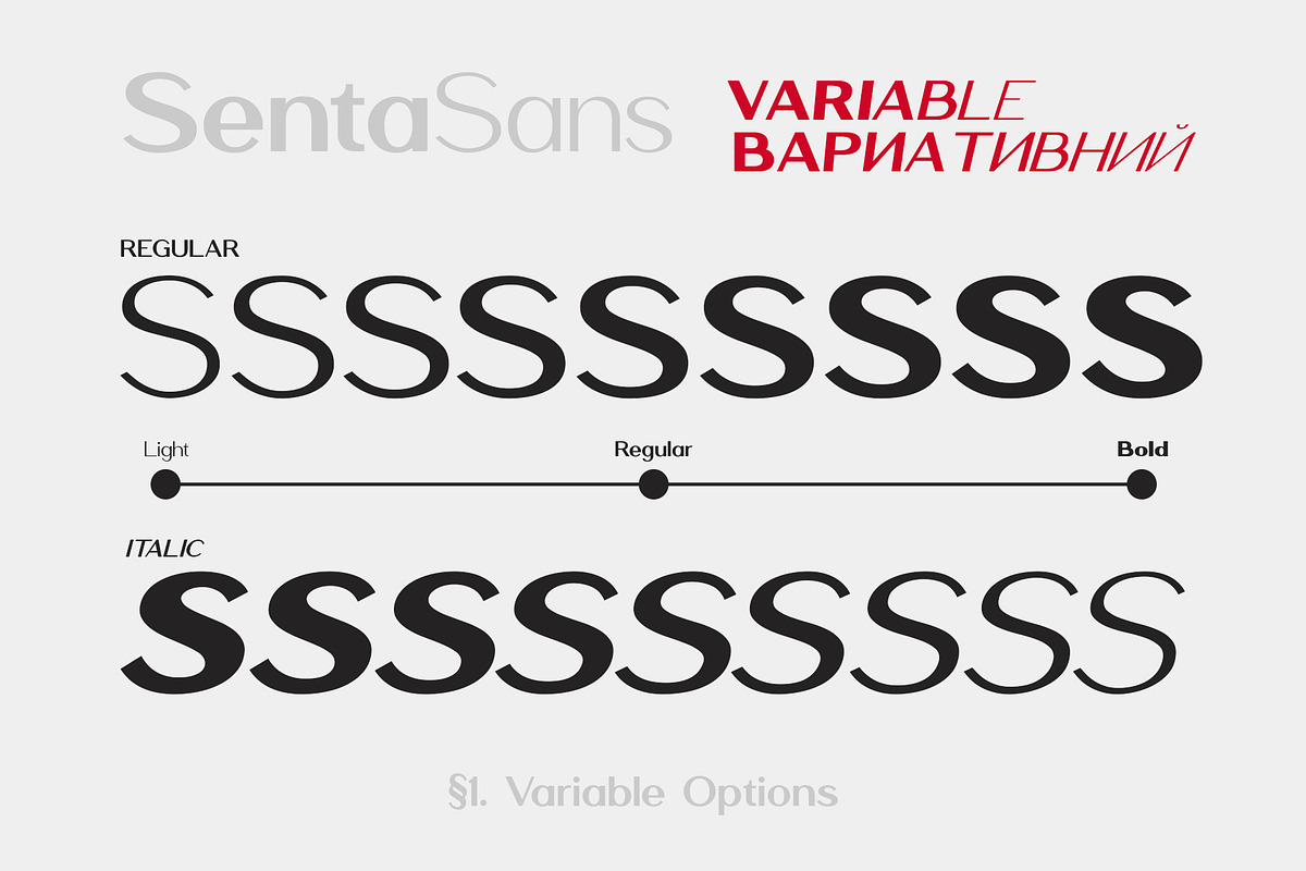 SentaSans Variable, a Sans Serif Font by Sentavio (Photo 2 of 8)