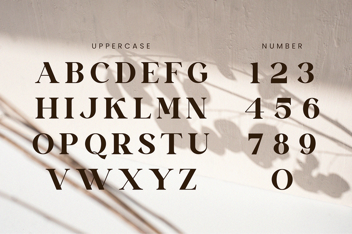 Vinaly Serif Font, a Serif Font by Idea Studio (Photo 8 of 11)