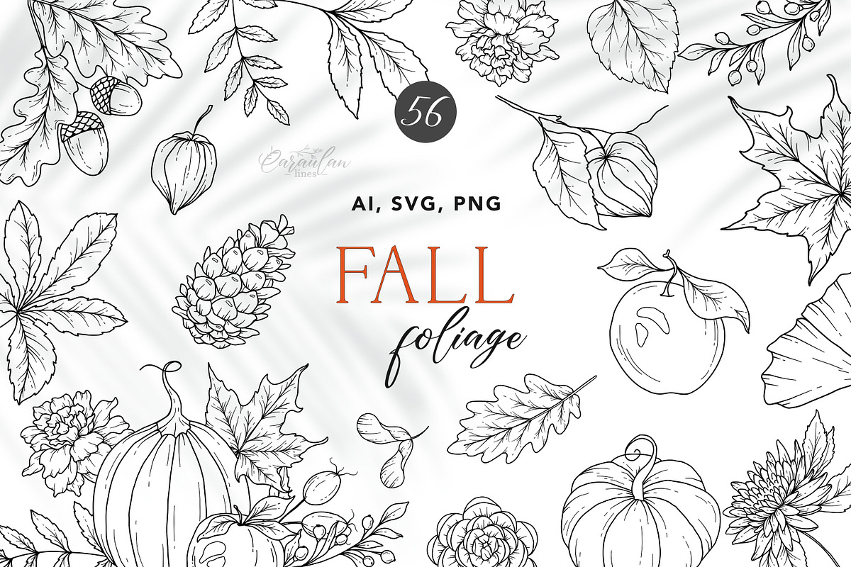 Fall Foliage Line Art, an Object Graphic by CaraulanStore (Photo 1 of 8)