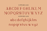 Meridian Premium Serif Font, a Serif Font by Artiveko (Thumbnail 2 of 11)
