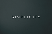 Salve - Elegant Serif + Cyrillic, a Serif Font by VP Fonts (Thumbnail 3 of 20)