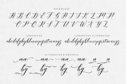 Meetha Script, a Script Font by FadeLine Studio (Thumbnail 8 of 9)