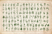 Horticulture - 130 plant vectors, an Education Illustration by BlackBird Foundry (Thumbnail 2 of 3)