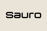 Sauro – Font Family, a Sans Serif Font by Stefano Giliberti (Thumbnail 1 of 10)