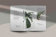 Quaro & Gillen - Botanical Brochure, a Magazine Template by KAZ by IanMikraz Studio (Thumbnail 7 of 11)