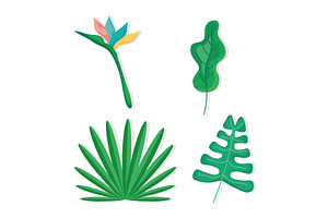 Four Tropical Foliage