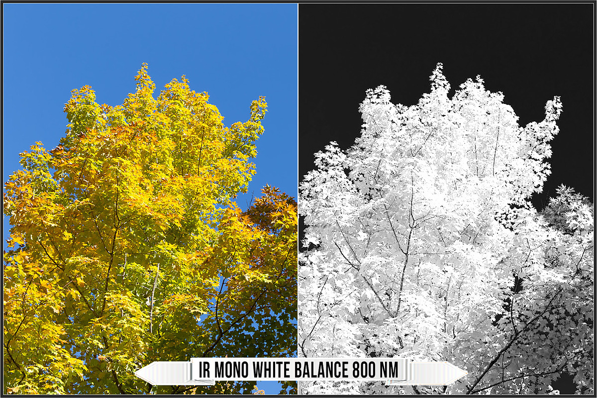 Infrared Ultraviolet Monochrome LUTs, a Plug-in Add-On by Raztrend (Photo 18 of 30)