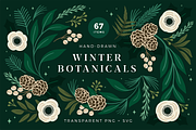Christmas Botanical Illustrations, an Illustration by Rough Edges Supply Co. (Thumbnail 1 of 9)
