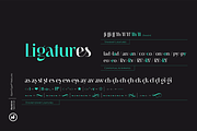 Kontras Modern Serif, a Serif Font by Hurufatfont (Thumbnail 8 of 11)