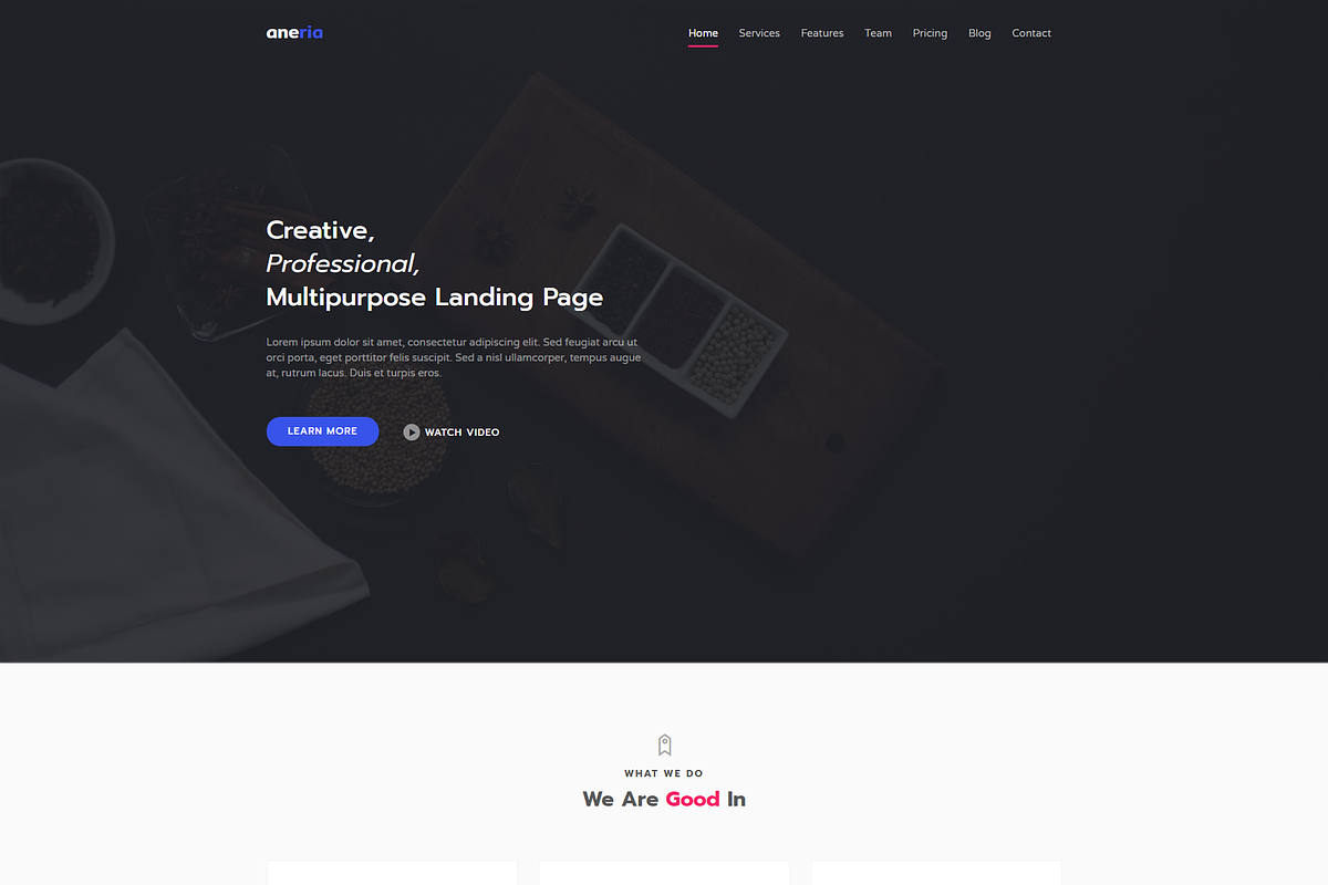 Aneria - Landing Page Template, a HTML Template by Pichforest Studio (Photo 1 of 3)