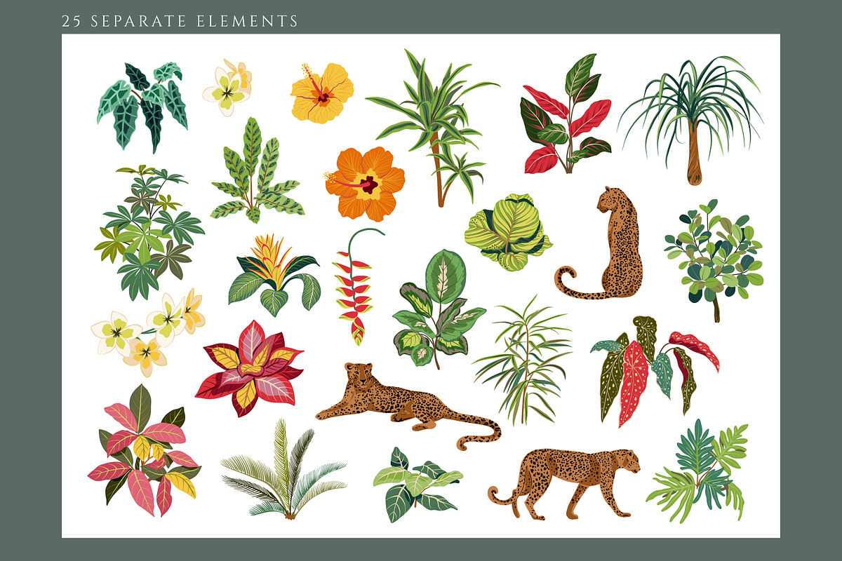 Tropical Plants & Animals, a Pattern Graphic by Molly art (Photo 2 of 14)