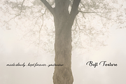 Atmospheric Soft Texture Backgrounds, a Background Graphic by youtoview (Thumbnail 13 of 14)