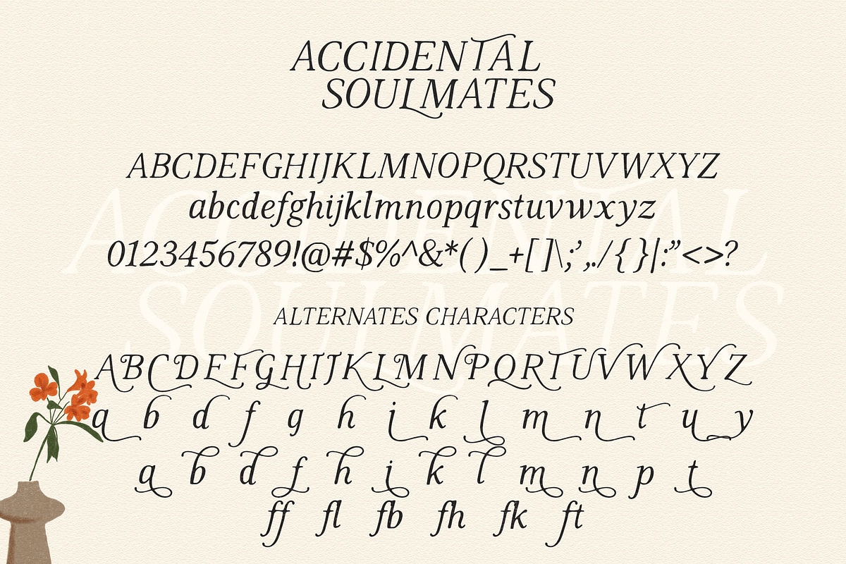 Accidental Soulmates - Romantic Font, a Serif Font by deadlock studio (Photo 9 of 10)