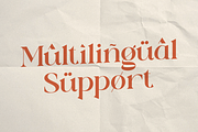 Eden Meadow - Stylish Serif Font, a Serif Font by RagamKata (Thumbnail 10 of 11)