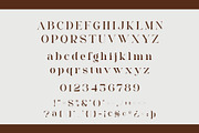 BLODE - Elegant Serif Font, a Serif Font by Aqeel_Art (Thumbnail 10 of 12)