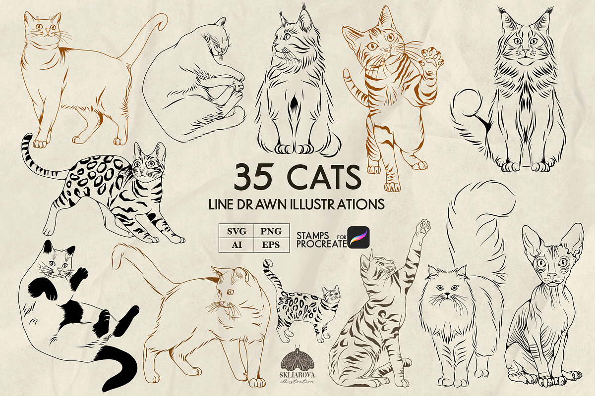 Cats Line Art + Procreate, an Animal Illustration by Skliarova (Photo 1 of 3)