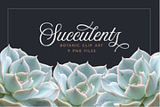 Succulents - Botanic Specimens, an Object Graphic by Turning Moss (Thumbnail 4 of 5)