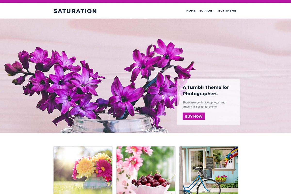 Saturation Tumblr Theme, a Websites & App Template by Themelantic (Photo 1 of 4)