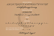 Lingerhend | Classic Script, a Script Font by Lemonthe (Thumbnail 7 of 7)
