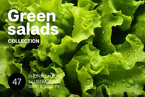 Green Salads. 47 images, a Food & Drink Photo by Handmadefont