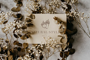 Forest sketchbook vintage collection, a Decorative Illustration by Pigment Café (Thumbnail 5 of 7)