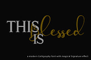Fansthome | Signature effect, a Script Font by Qaratype (Thumbnail 2 of 22)