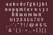 Eristone - Serif Font, a Serif Font by Subectype Studio (Thumbnail 12 of 15)