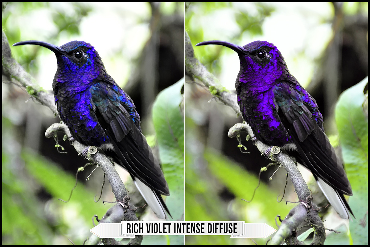 Perceived Color Fidelity profiles, a Plug-in Add-On by Raztrend
