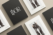 The One Editorial Serif, a Serif Font by Blanc Salváge (Thumbnail 17 of 18)