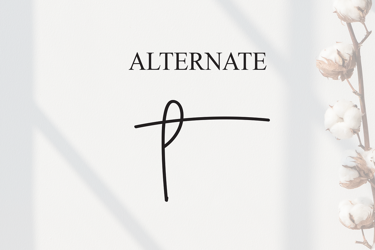 Nothing | Script Font, a Handwritten Font by Scratchones (Photo 8 of 9)