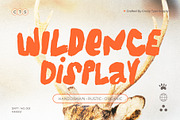 WILDENCE Organic Display, a Handwritten Font by Cruizy & Co (Thumbnail 15 of 15)