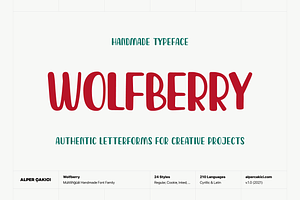 Wolfberry Playful Handmade Typeface