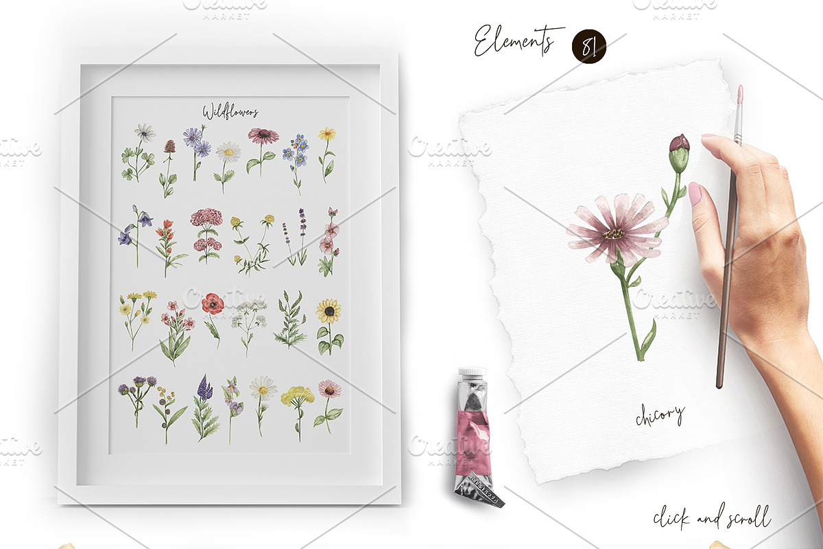 Watercolor Field Flowers Collection, a Decorative Illustration by MayaNavits (Photo 4 of 16)