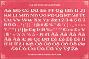 Galeno Rounded Rough, a Serif Font by Craft Supply Co. (Thumbnail 8 of 8)