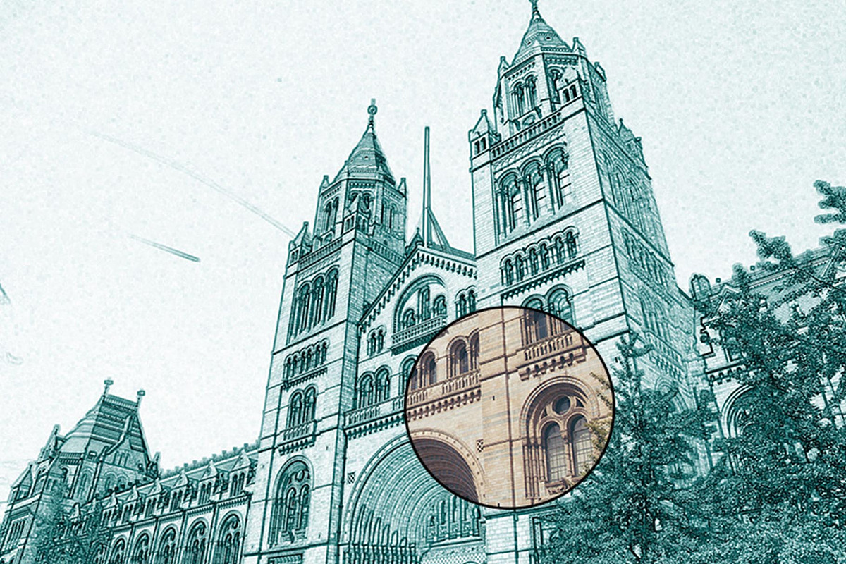 Vector Sketch Photoshop Action, an Action Add-On by Jacpot007 (Photo 3 of 6)