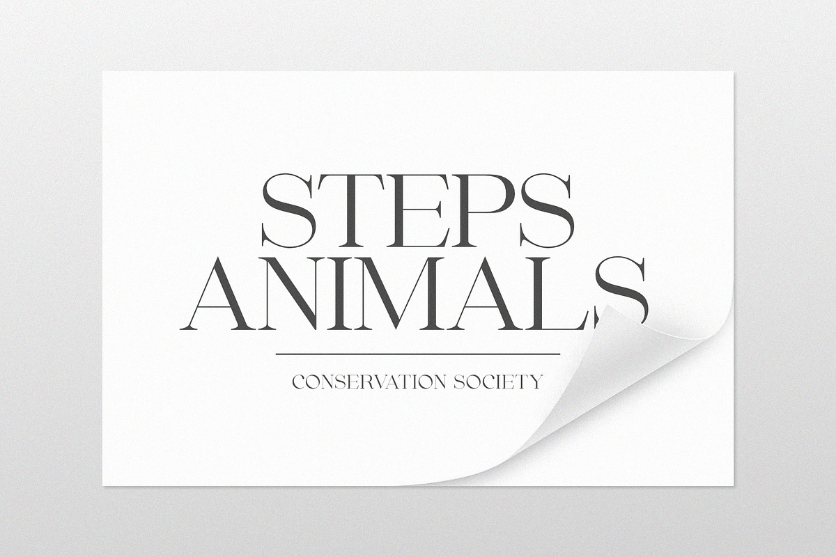 Beautiful Comethrue Family 54 Fonts, a Serif Font by Sealoung (Photo 18 of 18)