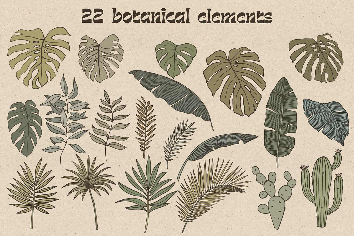 Retro botanical and landscape, a Decorative Illustration by marie dricot (Photo 2 of 13)