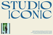 Alvinus Mix, a Serif Font by Craft Supply Co. (Thumbnail 4 of 8)