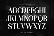 Qalisya - Modern Stylish Serif Font, a Serif Font by Flawless And Co (Thumbnail 7 of 10)