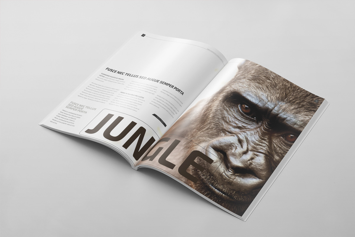 Magazine Template 64, a Magazine Template by pmvch (Photo 5 of 11)