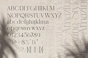 Qareky a Modern & Elegant Serif, a Serif Font by Lettertype Studio (Thumbnail 6 of 20)