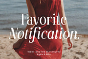 Favorite Notification, a Serif Font by Prioritype Co (Thumbnail 1 of 43)