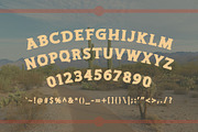 EXGATE + Extra, a Serif Font by Blazing Sun Creative (Thumbnail 3 of 5)