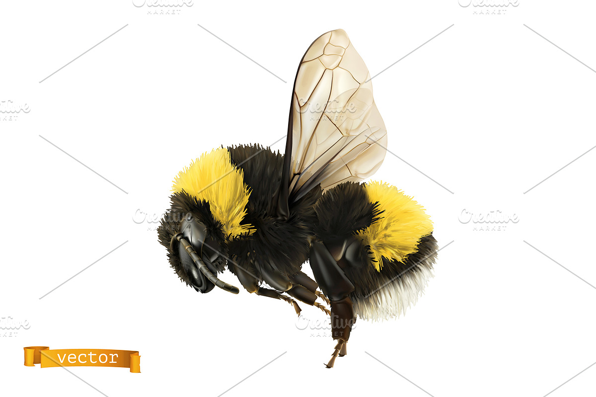 Bee, hornet and wasp. Honey drops, an Icon by Allevinatis Studio (Photo 5 of 6)