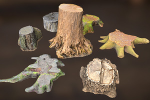 7 TREE STUMPS