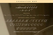 Juliethon Berllyan Modern Signature, a Script Font by Letterena Studios Script (Thumbnail 14 of 15)