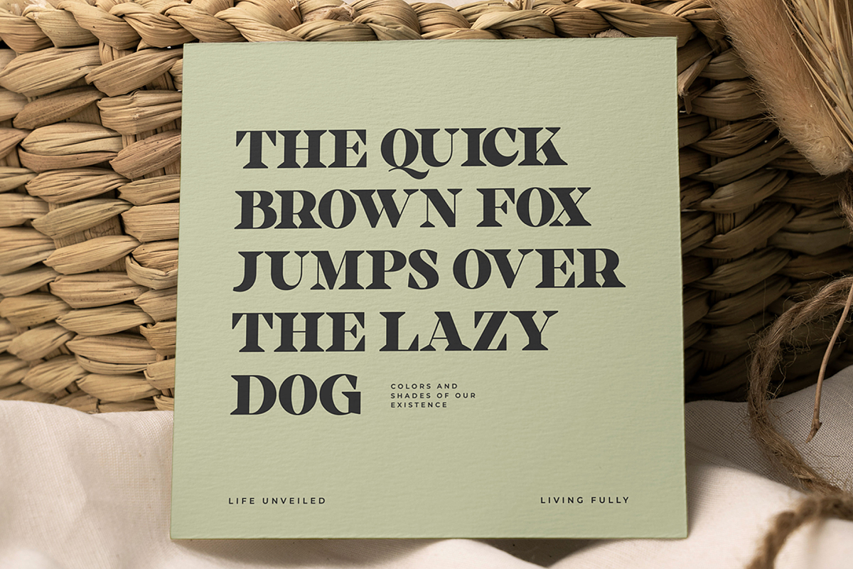 Welegants Modern Serif Font, a Serif Font by Catalystco Studio (Photo 5 of 11)