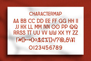 Decides Poland || Display Serif, a Serif Font by Idea Studio (Thumbnail 5 of 5)