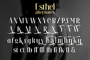 Esthel, a Sans Serif Font by Larin Type Co. (Thumbnail 11 of 11)